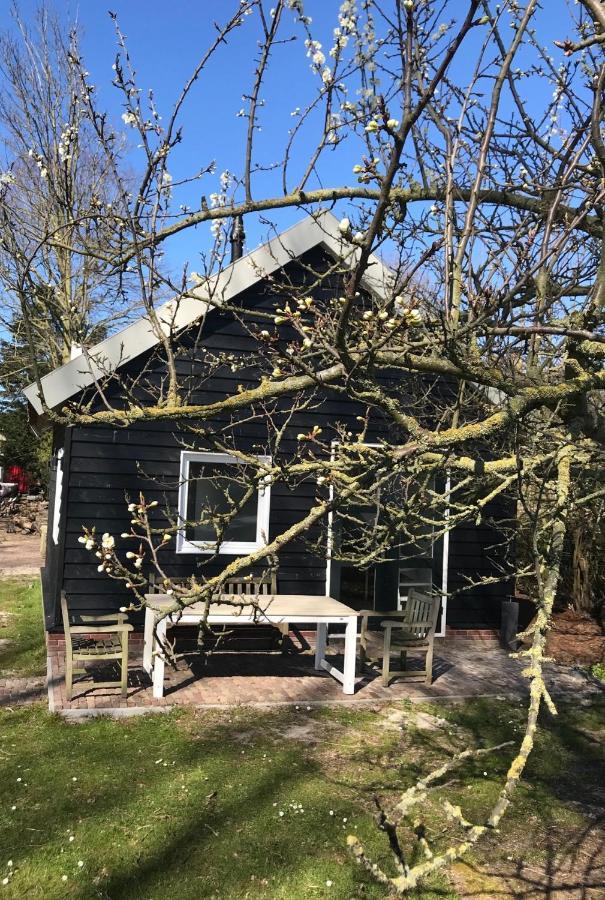 Ijsselmeer Lake Houses Andijk Luaran gambar