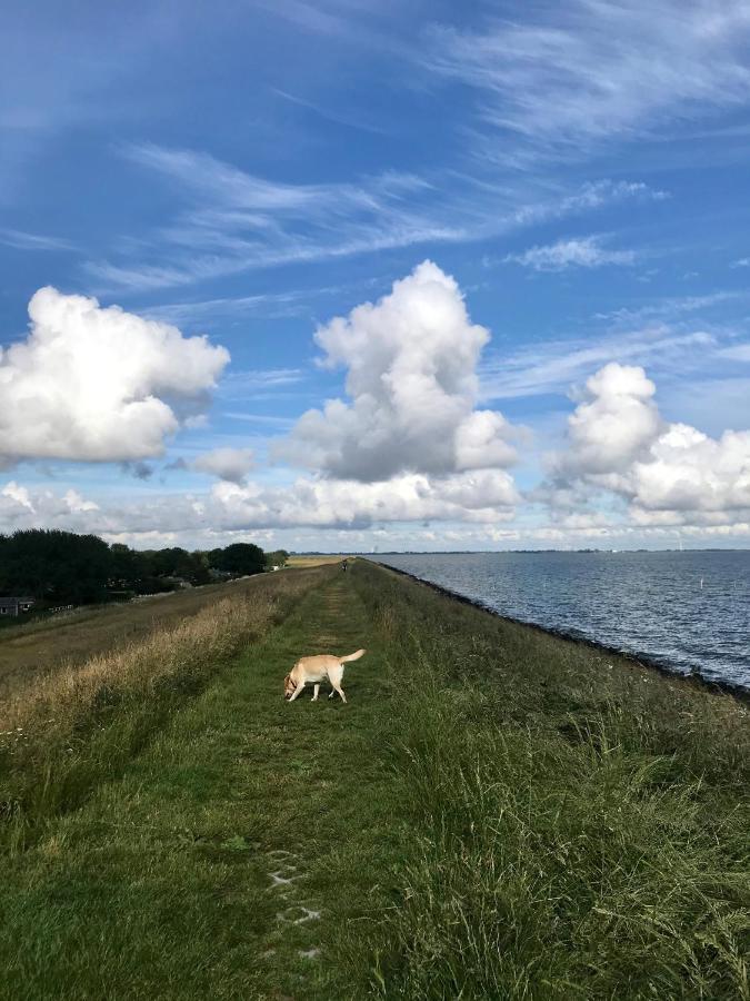 Ijsselmeer Lake Houses Andijk Luaran gambar